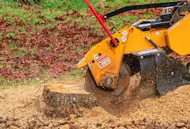 Best Tree Mulching  in Falling Waters, WV
